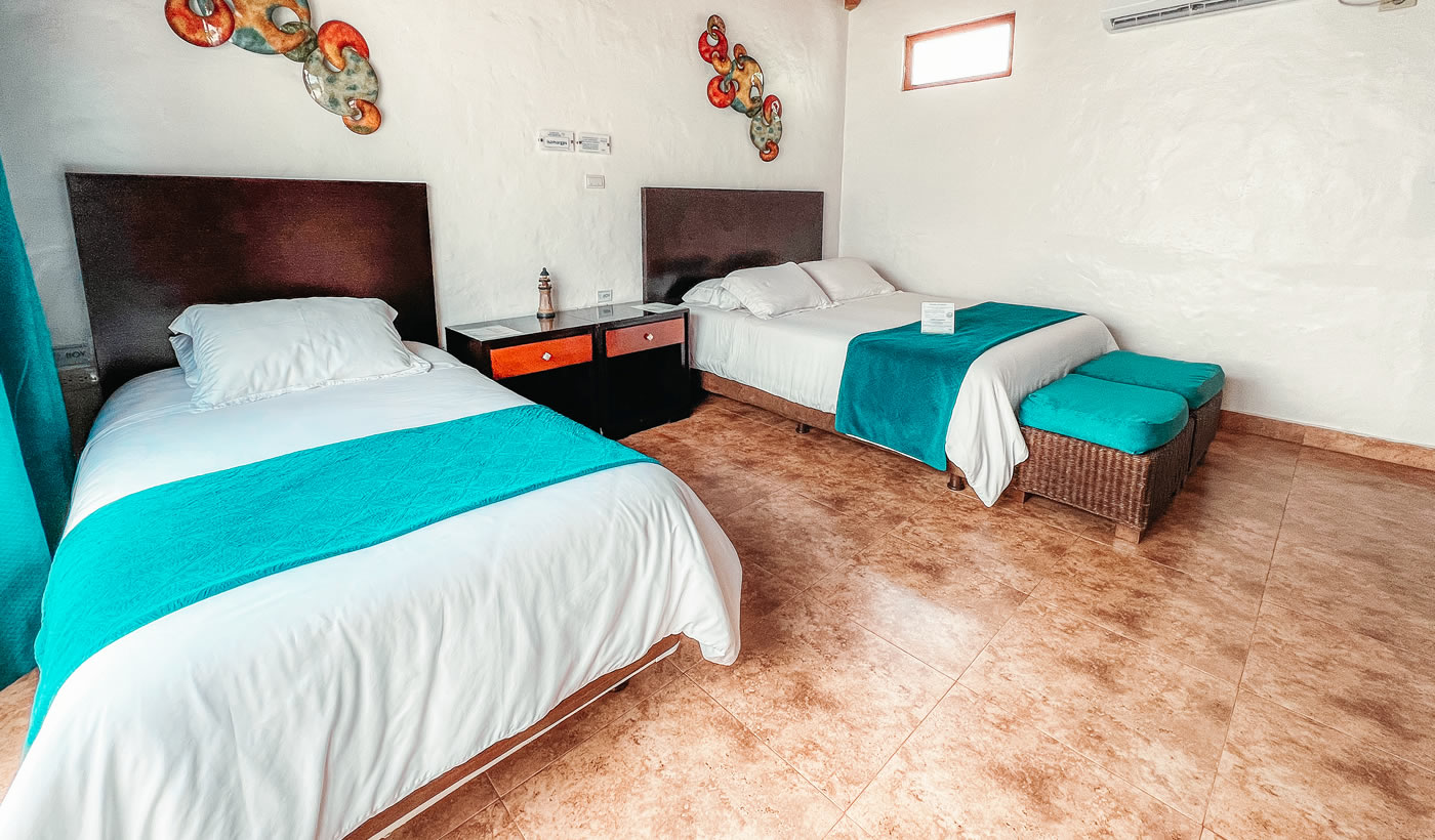 Habitación Twin